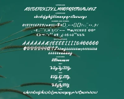 Aimchestar - Script Font