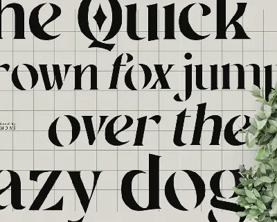 Matcha Serif font