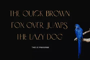 Problack - Elegant Sans Serif font