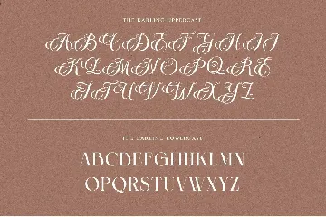 The Darling Beautiful Hybrid Serif Font