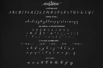 Austina Script font