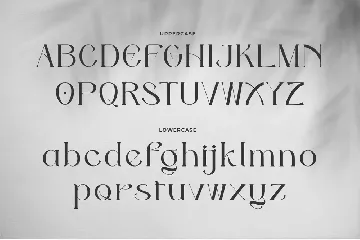 Odena Glamour - Elegant Serif Font