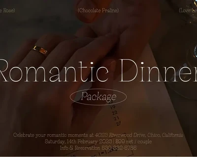 Palaise - Display Serif Typeface font