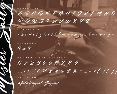 Mister Sally-Beautiful Handwritten Brush Font