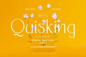 Quisking - Display Serif Font