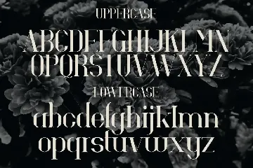 Hevaline - Modern Serif Display Typeface font