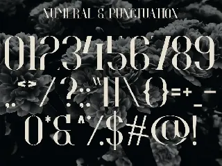 Hevaline - Modern Serif Display Typeface font