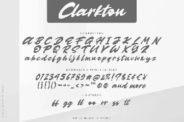 Clarkton - Bold Script Font