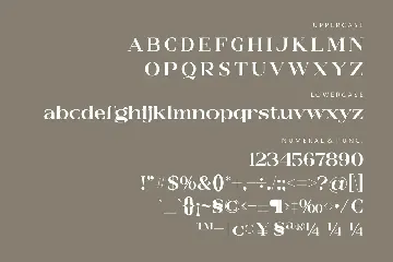 Glashick Modern Serif Typeface Font