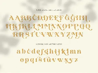 Glirock || Modern Ligature Serif font
