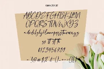 Claudio Wings Feminine Signature Script Font