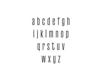 Stay Wanderer Sans Serif Font Family Pack