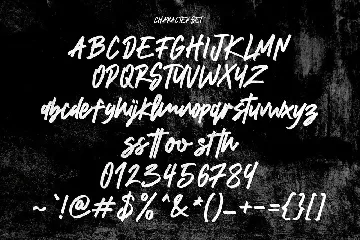 Reflecta Script Graffiti Style Font