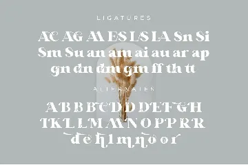 Glaure Vintage Serif Font