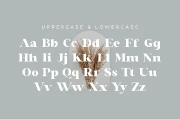 Glaure Vintage Serif Font