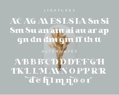 Glaure Vintage Serif Font