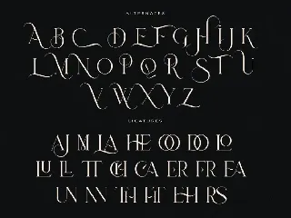 Robuka | Modern Serif Font