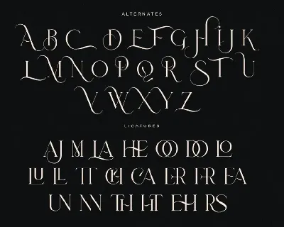 Robuka | Modern Serif Font