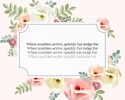 Zahra Serif Typeface font