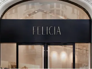 Felicia - Sleek Beauty Typeface font