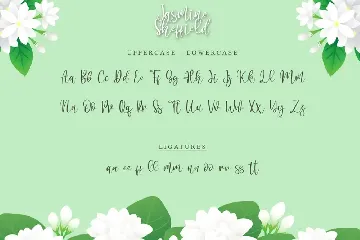 Jasmine Sheffield font