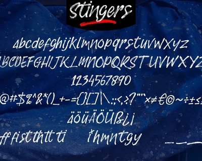 Stingers | Brush Handwriting Script Font