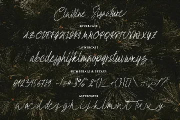 Clairine Signature font