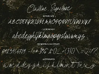 Clairine Signature font