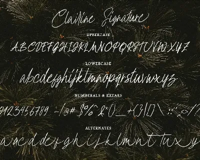 Clairine Signature font