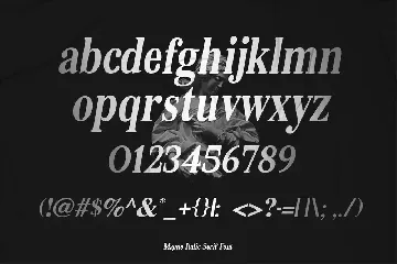 Magne Italic - Bold Serif Font