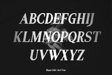 Magne Italic - Bold Serif Font