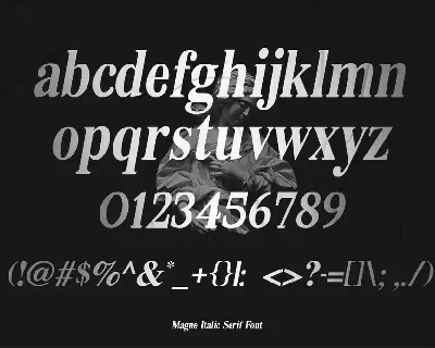 Magne Italic - Bold Serif Font