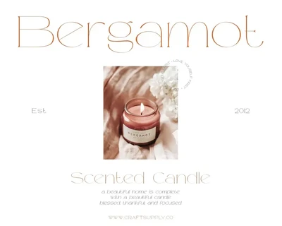 Mileur - Modern Elegant Serif font
