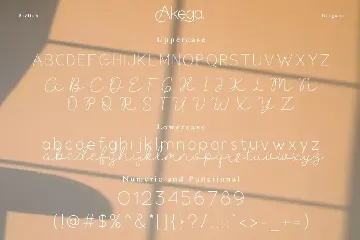 Akega Font Duo