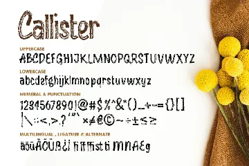 Callister font