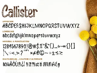 Callister font