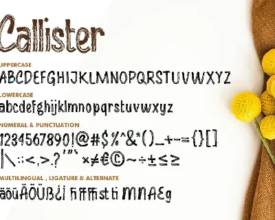 Callister font