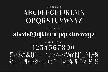 Mockads Modern Serif Font