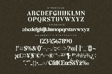 Gratina Modern Serif Font