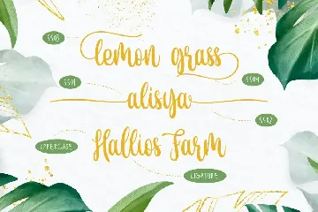 de Floras - Regular font