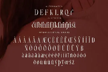 Nortine A New Modern Serif Font