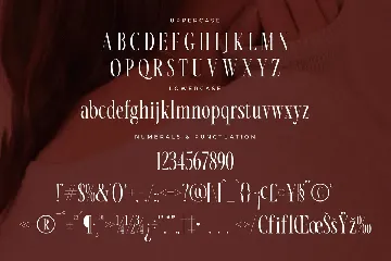 Nortine A New Modern Serif Font