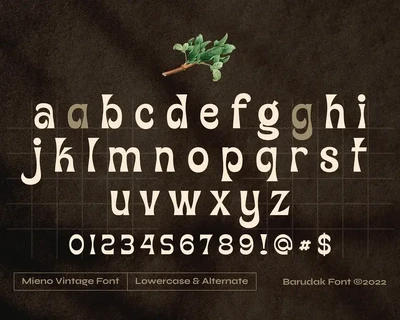 Mieno - Serif Display Font