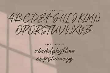 Bolsettona - Script font