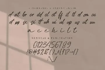 Bolsettona - Script font