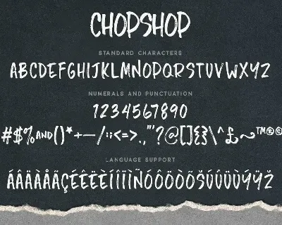 Chopshop Typeface font