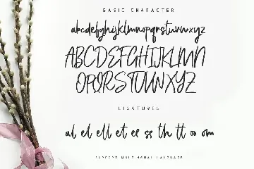 Bellevue // A Traveler Script Font