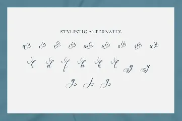 Shineblue - Romantic Calligraphy Font