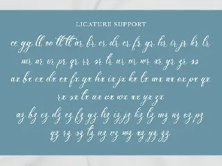 Shineblue - Romantic Calligraphy Font