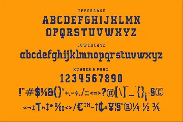 Mounley Discket A Display Font